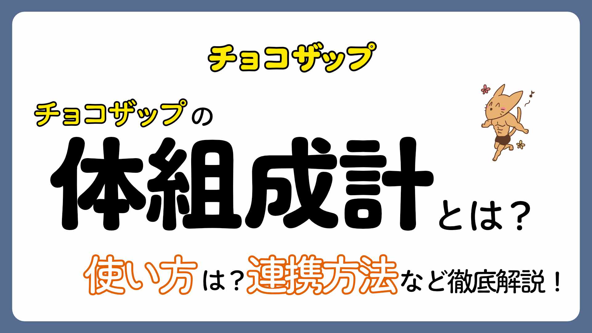 【実際どう？】チョコザップの体組成計を徹底解説！使い方や連携方法なども！
